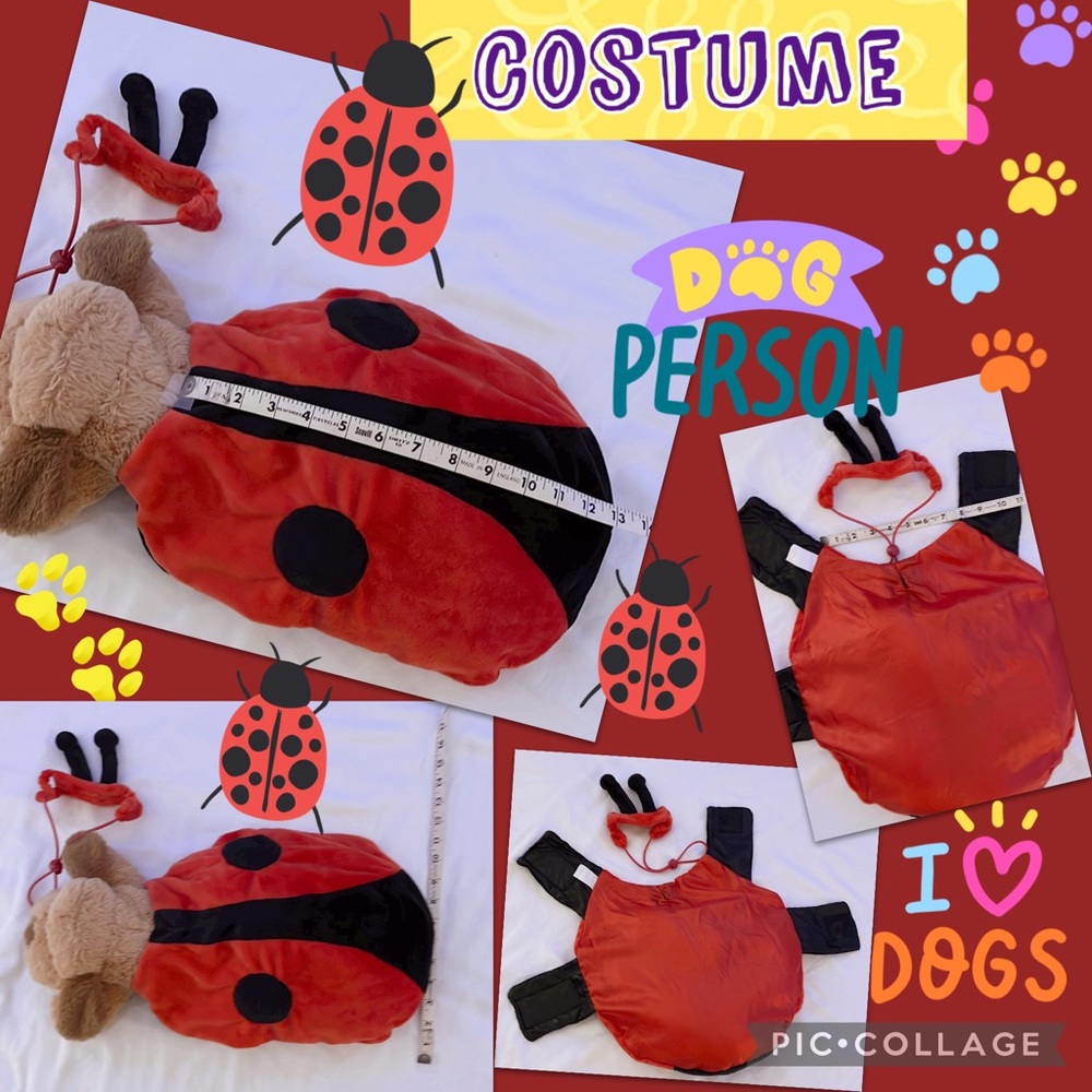 🐶Pet Costume🐞 LadyBug costume w/headband antennae, size Medium, plush & soft!